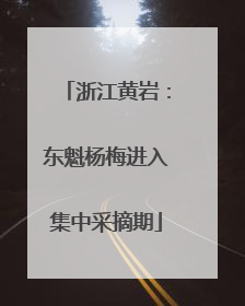 浙江黄岩：东魁杨梅进入集中采摘期