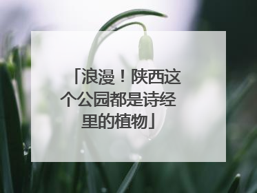 浪漫！陕西这个公园都是诗经里的植物