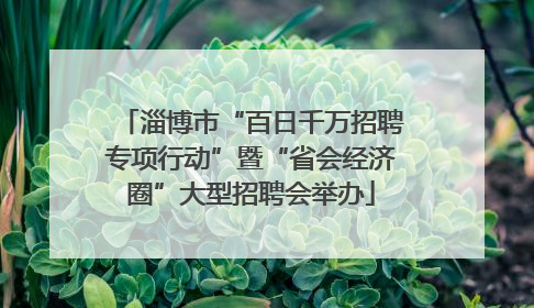 淄博市“百日千万招聘专项行动”暨“省会经济圈”大型招聘会举办