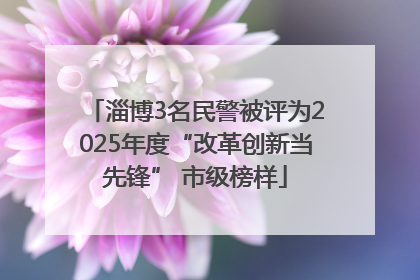淄博3名民警被评为2025年度“改革创新当先锋” 市级榜样