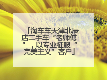 淘车车天津北辰店二手车“老师傅”，以专业征服“完美主义”客户