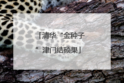 清华“金种子”津门结硕果