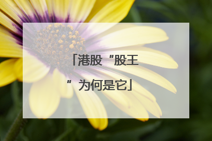 港股“股王”为何是它