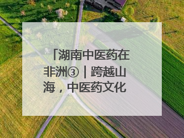 湖南中医药在非洲③｜跨越山海，中医药文化浸润非洲