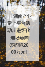 湖南产业带上平台活动走进怀化 现场意向签约超2000万元