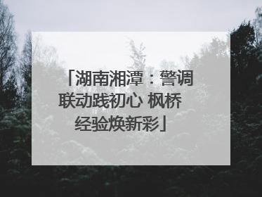 湖南湘潭：警调联动践初心 枫桥经验焕新彩