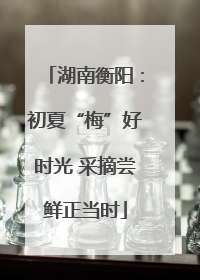 湖南衡阳：初夏“梅”好时光 采摘尝鲜正当时