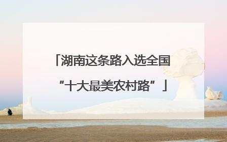 湖南这条路入选全国“十大最美农村路”
