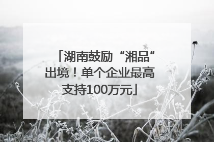 湖南鼓励“湘品”出境！单个企业最高支持100万元