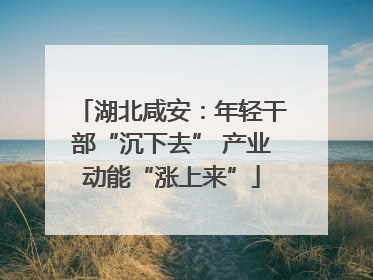湖北咸安：年轻干部“沉下去” 产业动能“涨上来”
