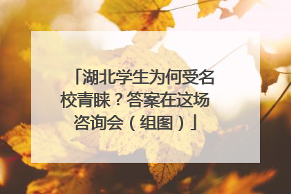 湖北学生为何受名校青睐？答案在这场咨询会（组图）