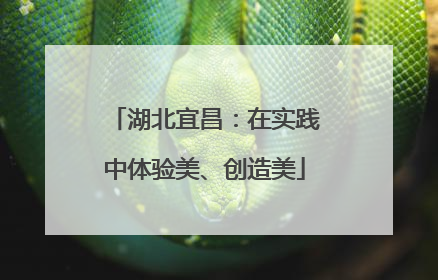 湖北宜昌：在实践中体验美、创造美
