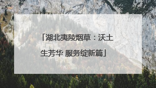湖北夷陵烟草：沃土生芳华 服务绽新篇