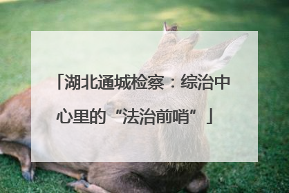 湖北通城检察：综治中心里的“法治前哨”