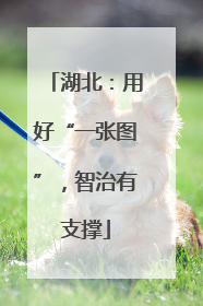 湖北：用好“一张图”，智治有支撑