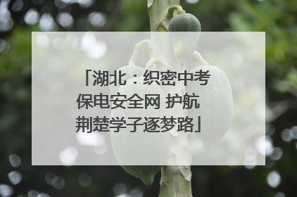 湖北：织密中考保电安全网 护航荆楚学子逐梦路