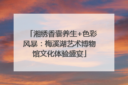 湘绣香囊养生+色彩风暴：梅溪湖艺术博物馆文化体验盛宴
