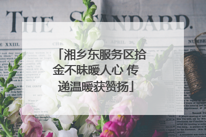 湘乡东服务区拾金不昧暖人心 传递温暖获赞扬
