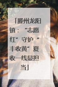滕州龙阳镇：“志愿红”守护“丰收黄”夏收一线显担当