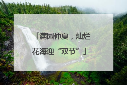 满园仲夏，灿烂花海迎“双节”