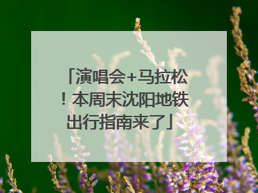 演唱会+马拉松！本周末沈阳地铁出行指南来了