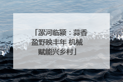 漯河临颍：蒜香盈野映丰年 机械赋能兴乡村