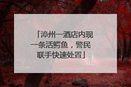 漳州一酒店内现一条活鳄鱼，警民联手快速处置