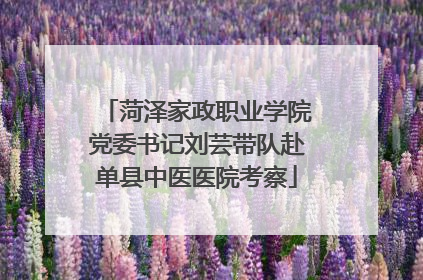 菏泽家政职业学院党委书记刘芸带队赴单县中医医院考察