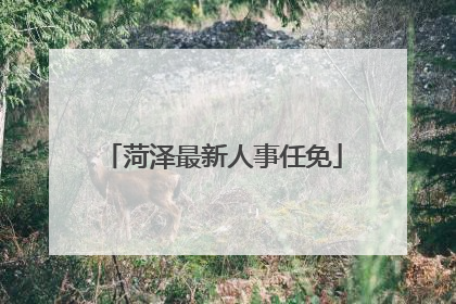 菏泽最新人事任免