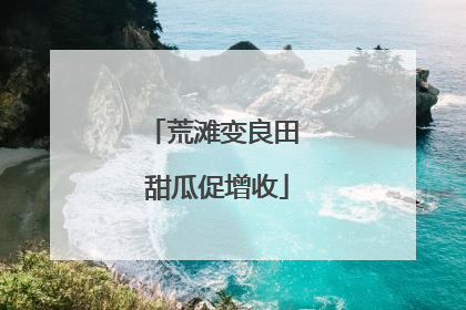 荒滩变良田 甜瓜促增收