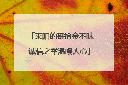 莱阳的哥拾金不昧 诚信之举温暖人心