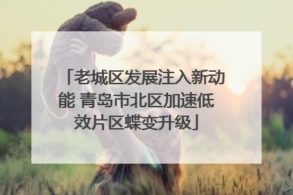 老城区发展注入新动能 青岛市北区加速低效片区蝶变升级