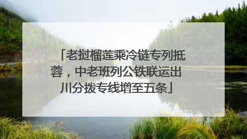 老挝榴莲乘冷链专列抵蓉，中老班列公铁联运出川分拨专线增至五条