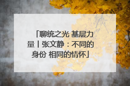 聊统之光 基层力量丨张文静：不同的身份 相同的情怀