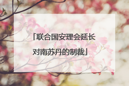 联合国安理会延长对南苏丹的制裁