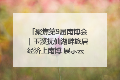 聚焦第9届南博会｜玉溪抚仙湖畔旅居经济上南博 展示云南生活新样本