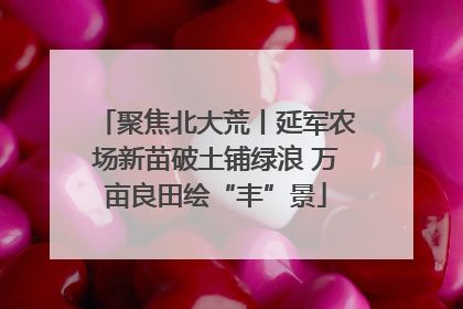 聚焦北大荒丨延军农场新苗破土铺绿浪 万亩良田绘“丰”景