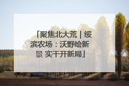 聚焦北大荒｜绥滨农场：沃野绘新景 实干开新局
