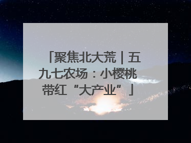聚焦北大荒｜五九七农场：小樱桃带红“大产业”