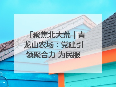 聚焦北大荒｜青龙山农场：党建引领聚合力 为民服务践初心