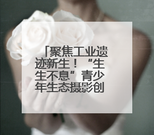 聚焦工业遗迹新生！“生生不息”青少年生态摄影创作活动即将在杭钢公园启动