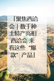 聚焦西洽会｜数千种土特产亮相西洽会 来看这些“爆款”产品