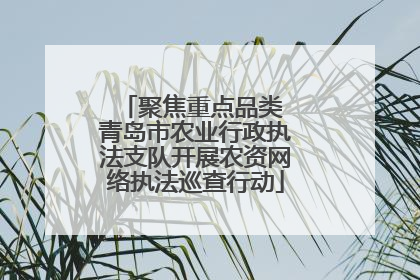 聚焦重点品类 青岛市农业行政执法支队开展农资网络执法巡查行动