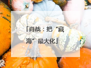 肖战：把“藏海”最大化
