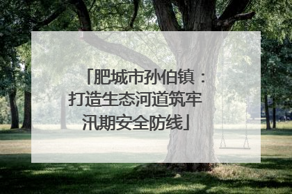 肥城市孙伯镇：打造生态河道筑牢汛期安全防线