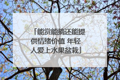 能赏能摘还能提供情绪价值 年轻人爱上水果盆栽