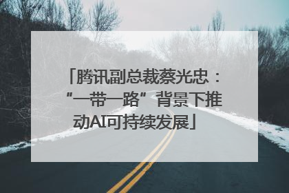 腾讯副总裁蔡光忠：“一带一路”背景下推动AI可持续发展