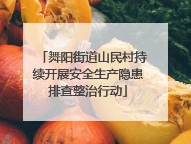 舞阳街道山民村持续开展安全生产隐患排查整治行动