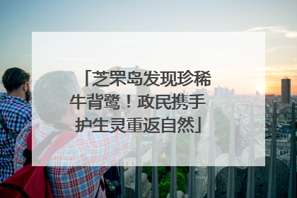 芝罘岛发现珍稀牛背鹭！政民携手护生灵重返自然