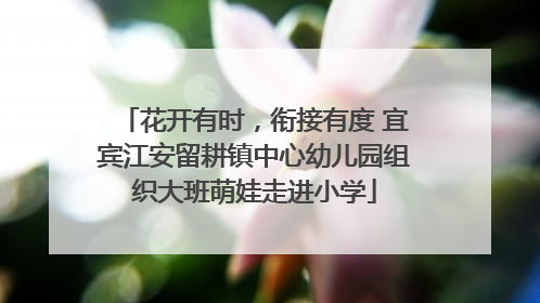 花开有时，衔接有度 宜宾江安留耕镇中心幼儿园组织大班萌娃走进小学